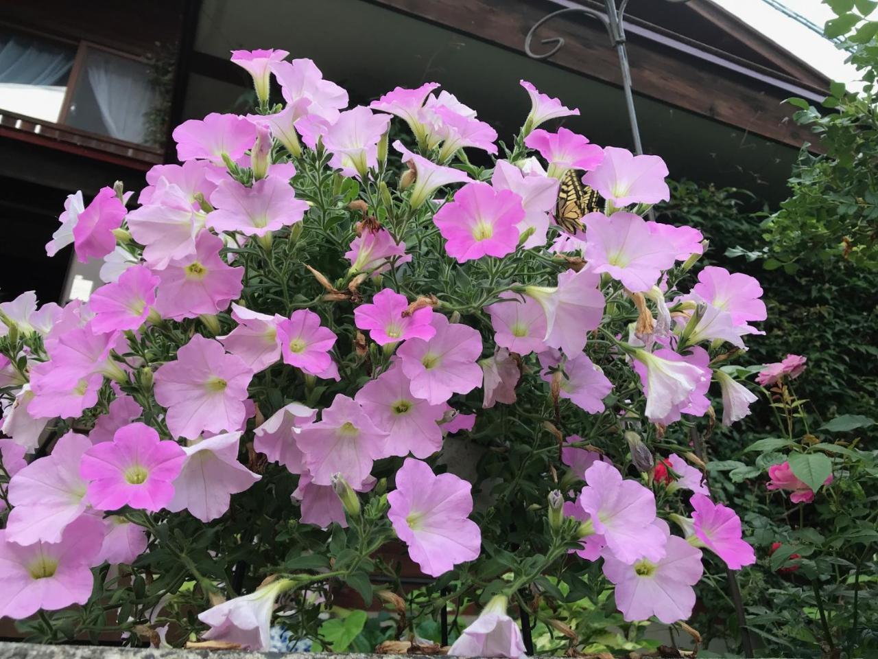Yamagata Zao Pension Aplon Stage Kaminoyama Εξωτερικό φωτογραφία